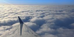 Plane wing