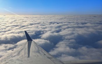 Plane wing