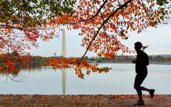 Runner moves past Washington Monument in DC during fall