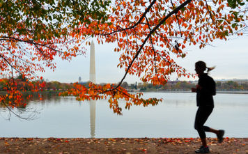 Runner moves past Washington Monument in DC during fall