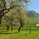 Save 50% on Lyria Travel Routes