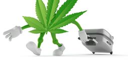 Marijuana tourism, travel, weed, cannabis, flower, graphic