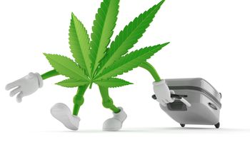 Marijuana tourism, travel, weed, cannabis, flower, graphic