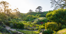 Air New Zealand Launches Sweepstakes