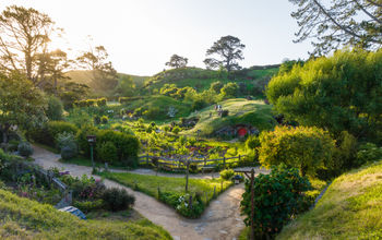 Air New Zealand Launches Sweepstakes