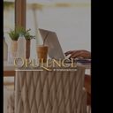 Why Join Opulence by Outside Agents?