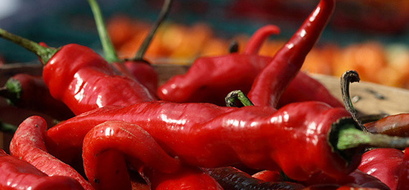 Image: PHOTO: An assortment of chili peppers. (photo via Flickr/Paul Stein)