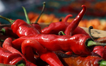 An assortment of chili peppers