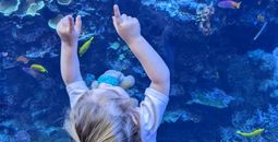 Georgia Aquarium, Atlanta
