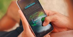 Caribbean Travel & Tours travel booking platform