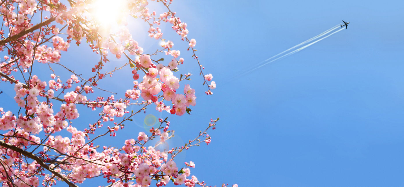 Image: The changing of the seasons calls for travel. (Photo Credit: tiagozr/Adobe Stock)