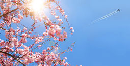 Spring travel