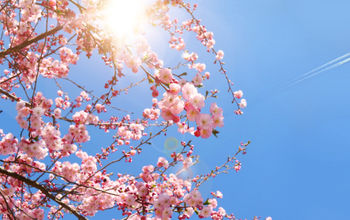 Spring travel