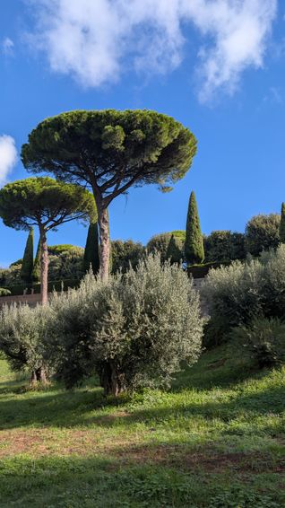 Castel Gandolfo grounds portrait