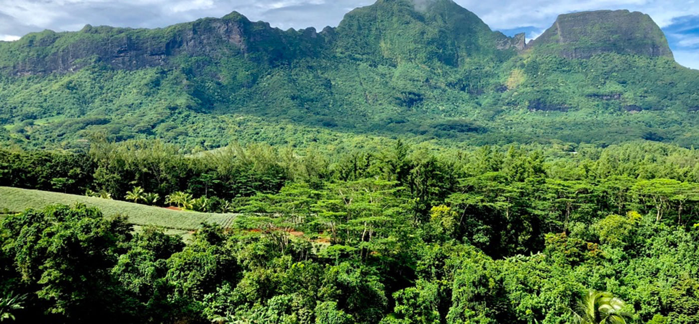 Image: The itinerary spends three nights in Moorea. (Source: Janeen Christoff)