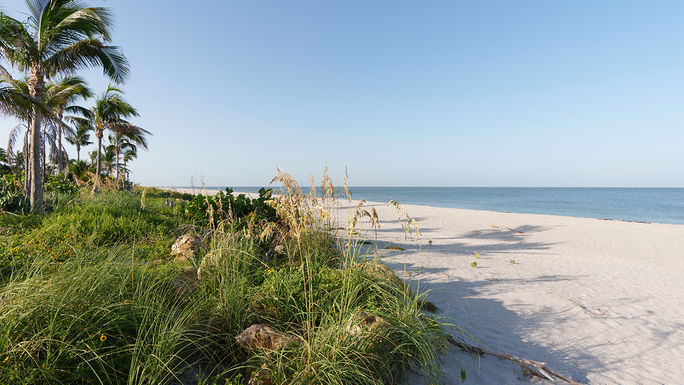 Home to beautiful beaches.