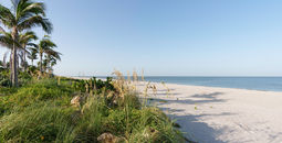 Home to beautiful beaches. 