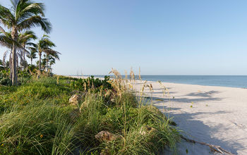 Home to beautiful beaches. 
