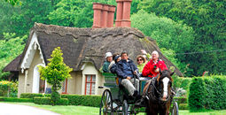Jaunting Car Ride in Killarney, Ireland