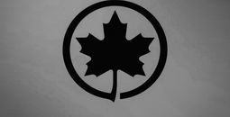 Air Canada provides additional information on Air Canada Express Flight AC8646