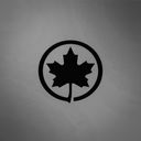Air Canada provides additional information on Air Canada Express Flight AC8646
