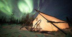 Wapusk Adventures - Churchill MB
