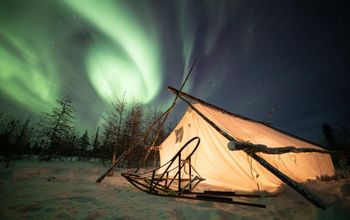 Wapusk Adventures - Churchill MB