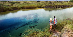 Poza Azul