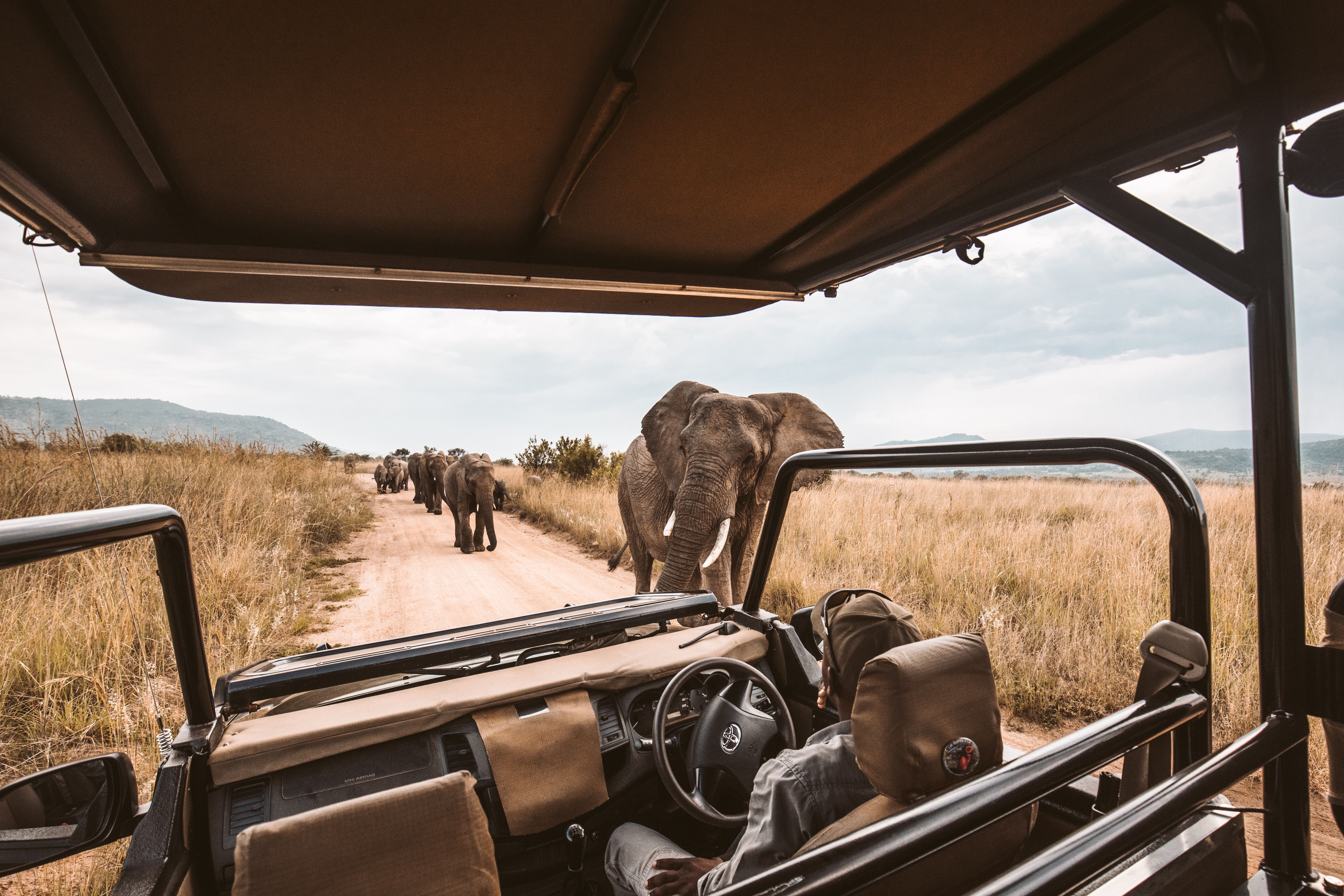 How to Plan the Perfect African - Image Game Drive In Africa. Photo Credit Collette 