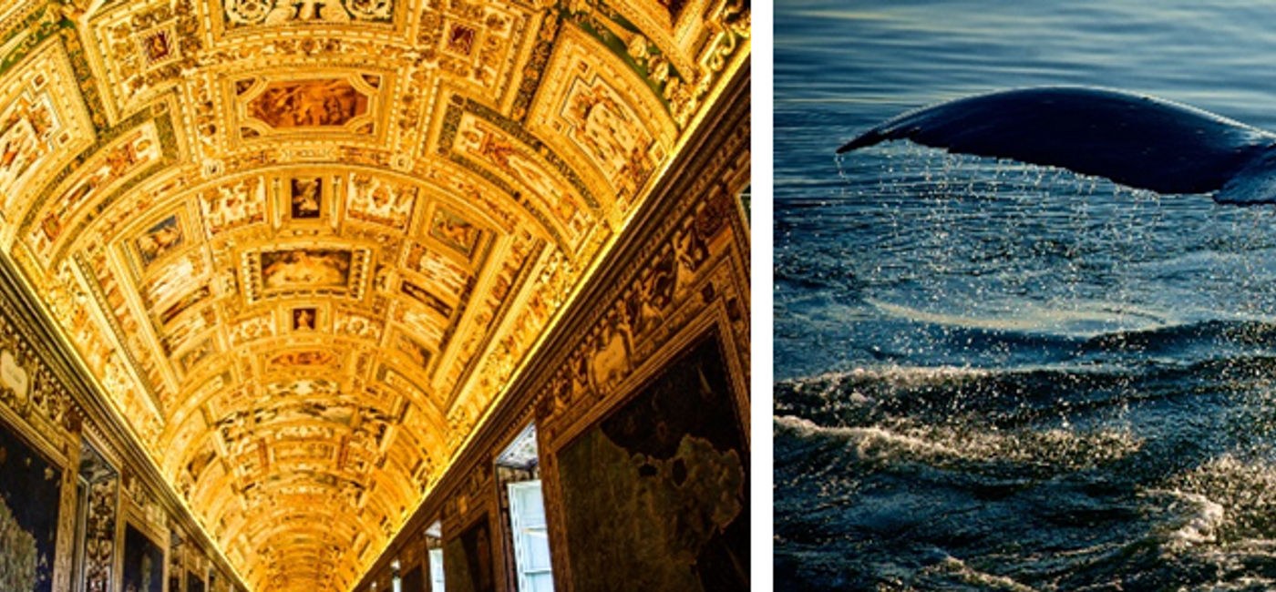 Image: Virtuoso’s 2026 Luxe Report (Photo Credit: Virtuoso)