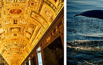 Virtuoso’s 2026 Luxe Report