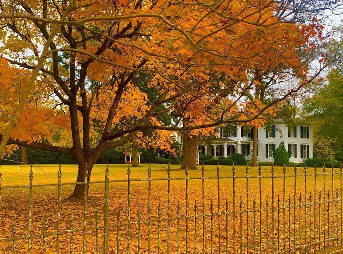 Madison, Georgia's historic district