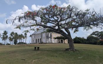 Habitation Murat, Guadeloupe