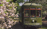 St. Charles Streetcar by Paul Broussard for New Orleans & Company