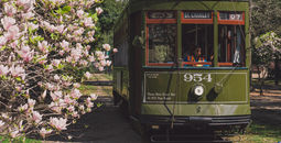 St. Charles Streetcar by Paul Broussard for New Orleans & Company