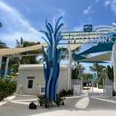Norwegian Cruise Line hosted a ribbon-cutting ceremony and an exclusive preview event at Great Tides Waterpark