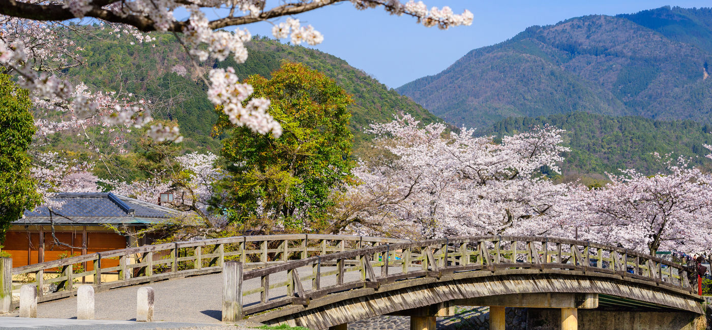Image: Arashiyama, Kyoto, Japan in the spring season. (Photo via iStock/Getty Images Plus/SeanPavonePhoto)