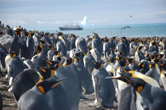 Polar Adventure Company