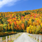 Autumn countryside in Stowe, Vermont.