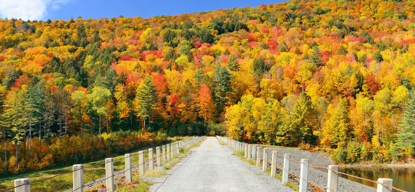 Image: Autumn countryside in Stowe, Vermont. (Photo Credit: Adobe Stock/rabbit75_fot)