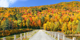 Autumn countryside in Stowe, Vermont.