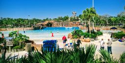 Typhoon Lagoon Surf Pool at Disney's Typhoon Lagoon Water Park