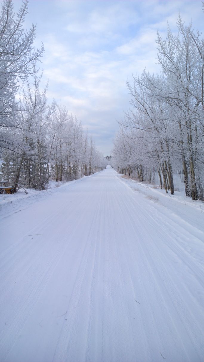 Whitehorse winter road Whitehorse winter road