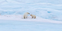 Black Friday Savings: Up to 40% Off All-Inclusive HX Expedition Cruises