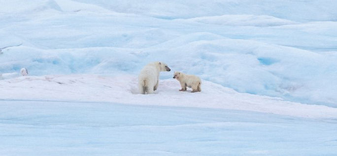 Black Friday Savings: Up to 40% Off All-Inclusive HX Expedition Cruises