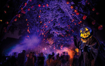 Halloween Horror Nights at Universal Studios.