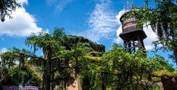 Tiana's Bayou Adventure at Walt Disney World Resort.