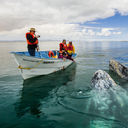 Guerrero Negro