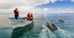 Guerrero Negro