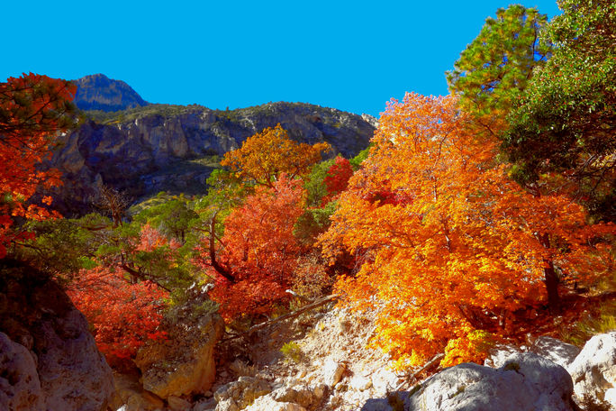 Guadalupe Mountains National Park in Texas Guadalupe Mountains National Park in Texas
